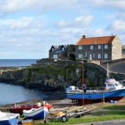 Craster